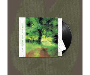 Hiroshi Yoshimura - Quiet Forest | STRANGER THAN PARADISE RECORDS