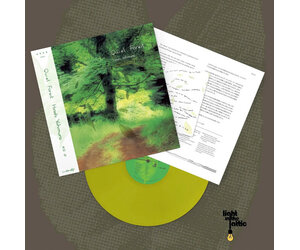 Hiroshi Yoshimura - Quiet Forest (