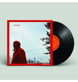 Division 81 Laraaji - Openness
