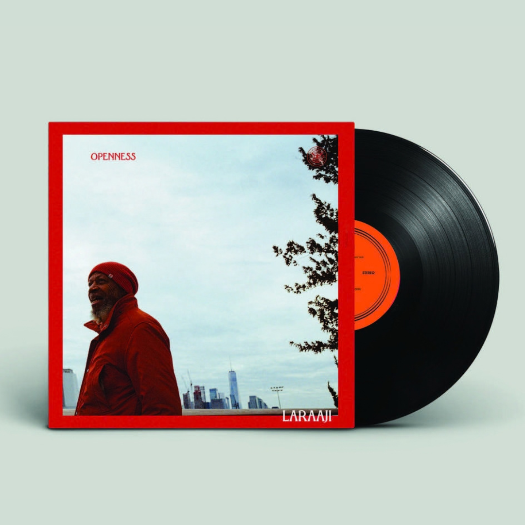 Division 81 Laraaji - Openness