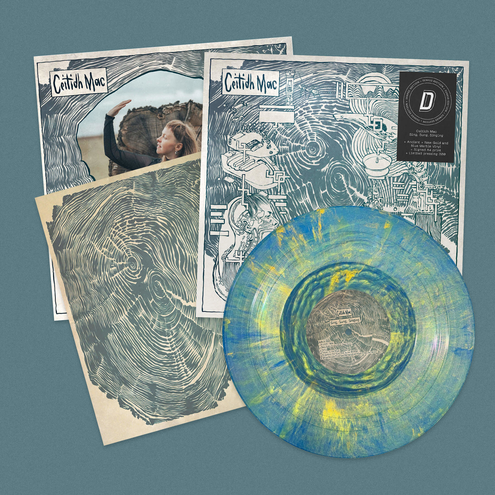SIGNED Ceitidh Mac - Sing, Sung, Singing (Dinked Edition)