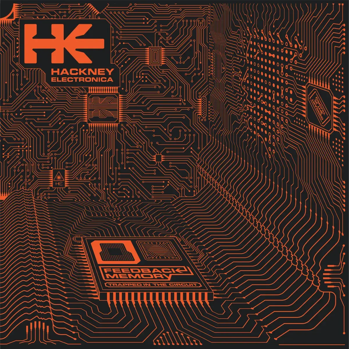 Dark Entries Hackney Electronica - Feedback Memory
