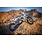 X-GRIP Dekor Kit for KTM #19