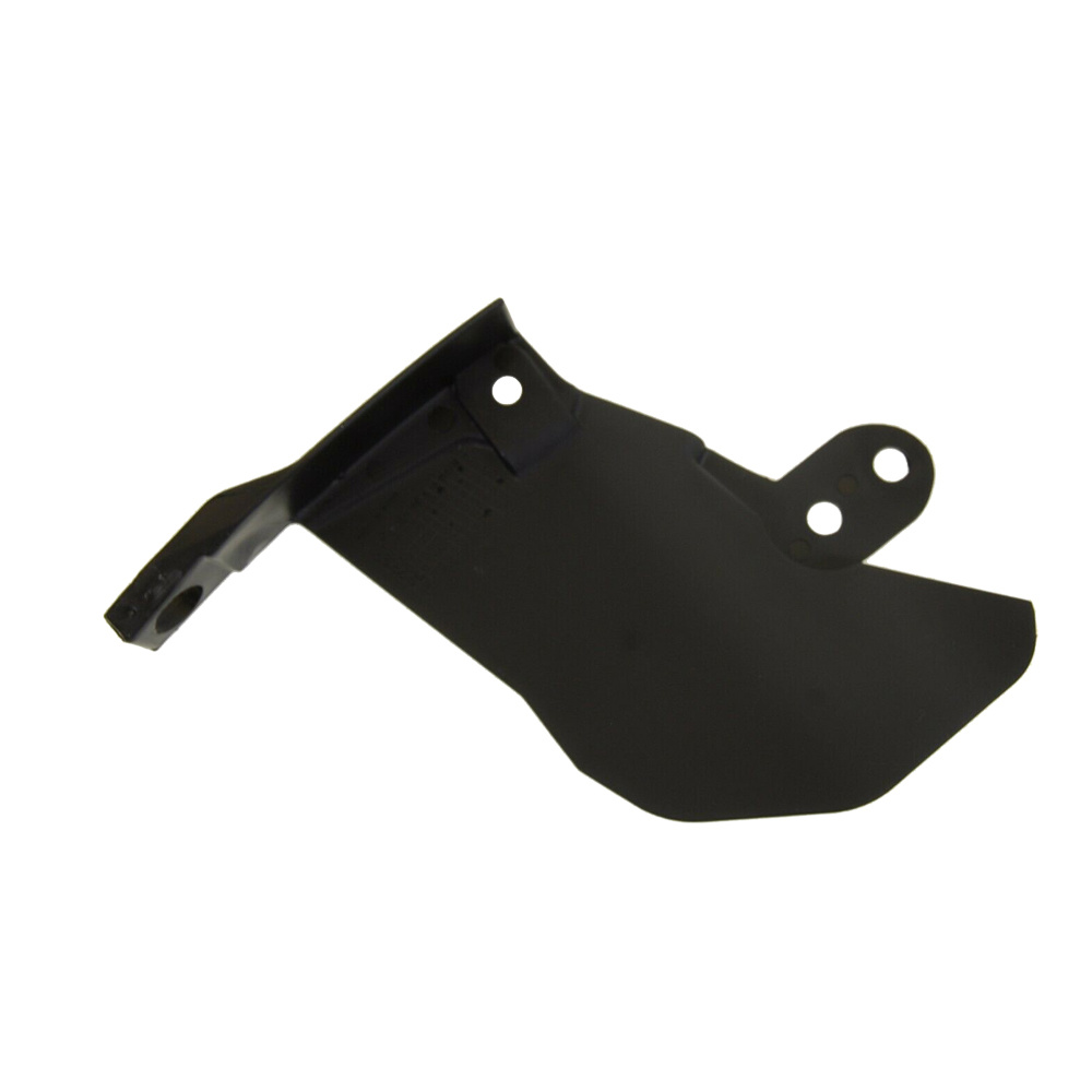 Beta Chain guard swingarm