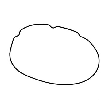 Beta O-Ring Clutch cover