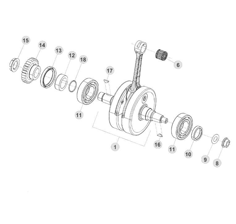 Beta Oil seals crankshaft