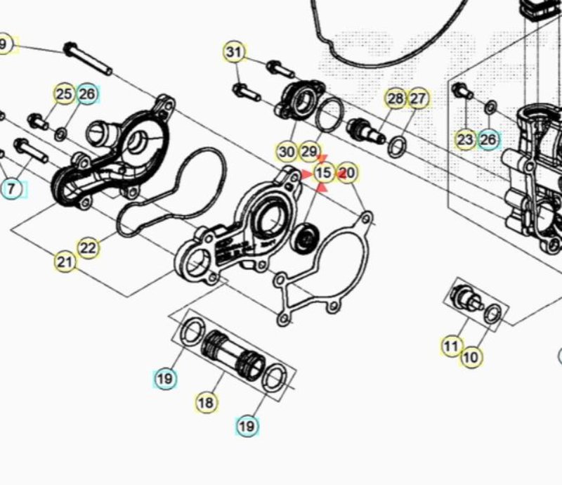 Beta Water Pump Seal 2T