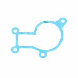 Beta Dichtung Wasserpumpe