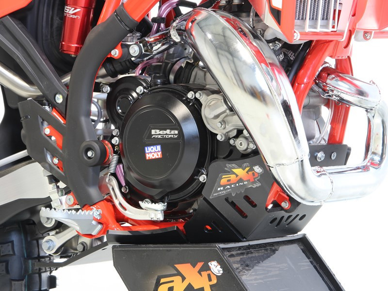 AXP Motorschutz mit Umlenkungsschutz