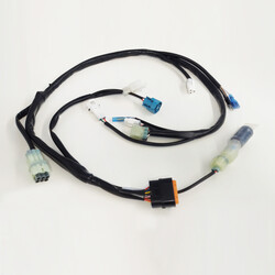 Beta Main wiring harness RR 125 2T