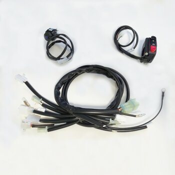 Beta Race Wiring Harness Kit