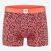 A-dam Boxer Ani Maly