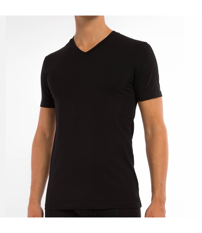 Basic 2-pack t-shirt v-hals in zwart