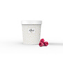 Ambachtelijke sorbet buckets Geybels