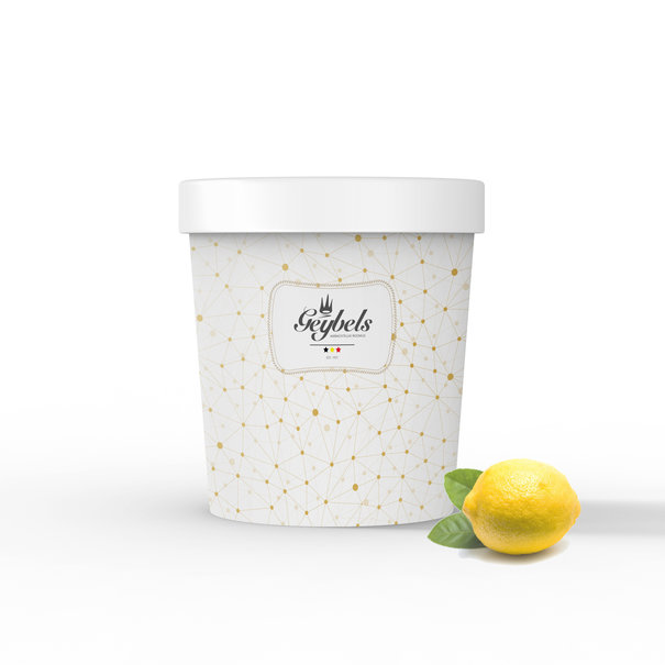 Ambachtelijke sorbet buckets Geybels