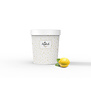 Ambachtelijke sorbet buckets Geybels