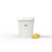 Ambachtelijke sorbet buckets Geybels