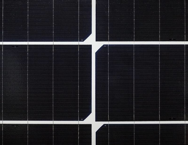 Longi Solar LR5-54HTH-440 WP zwart/wit zwart frame