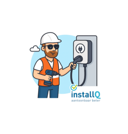 Volledige Installatie van 2 Laadpalen