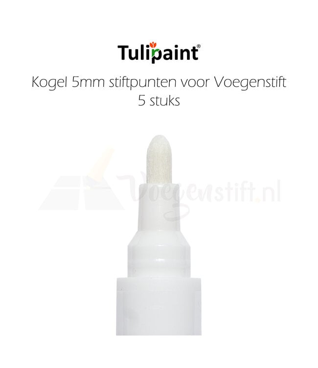 Tulipaint Kogel 5mm reservepunten voor Voegenstift (5 stuks)