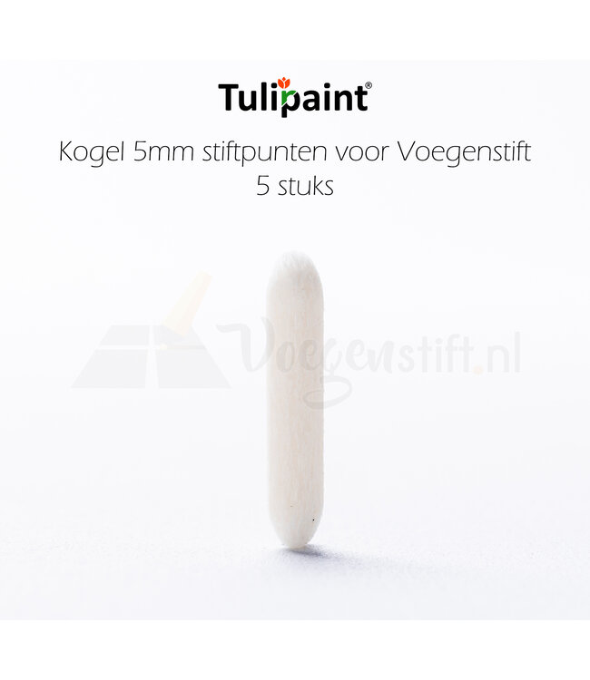Tulipaint Kogel 5mm reservepunten voor Voegenstift (5 stuks)