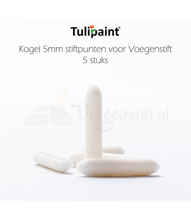 Tulipaint Kogel 5mm reservepunten voor Voegenstift (5 stuks)