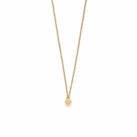 thumb-Compass Necklace Gold Plated-1