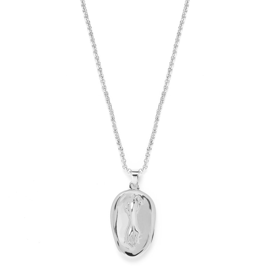Adored Necklace Silver-2