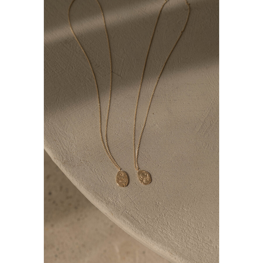 Cosmos Necklace Gold Plated-3