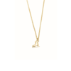 Skate in the park necklace New York