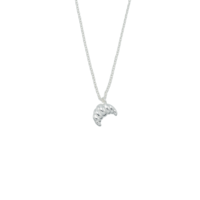 thumb-Croissant Ketting Zilver-2