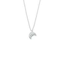 thumb-Croissant Necklace Silver-2