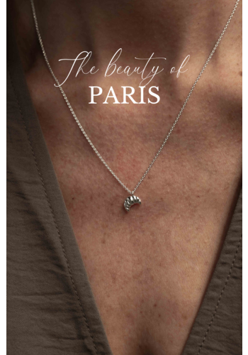 Croissant Necklace Silver 