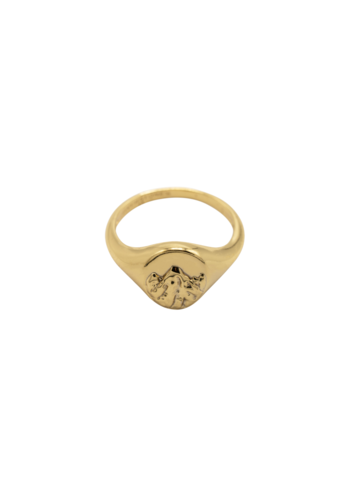 Fjäll Ring Gold Plated 