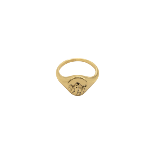 Fjäll Ring Gold Plated 