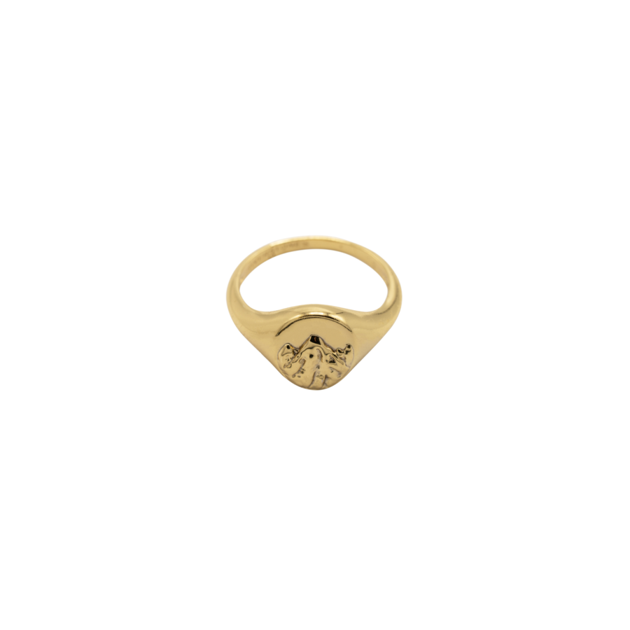 Fjäll Ring Gold Plated-1