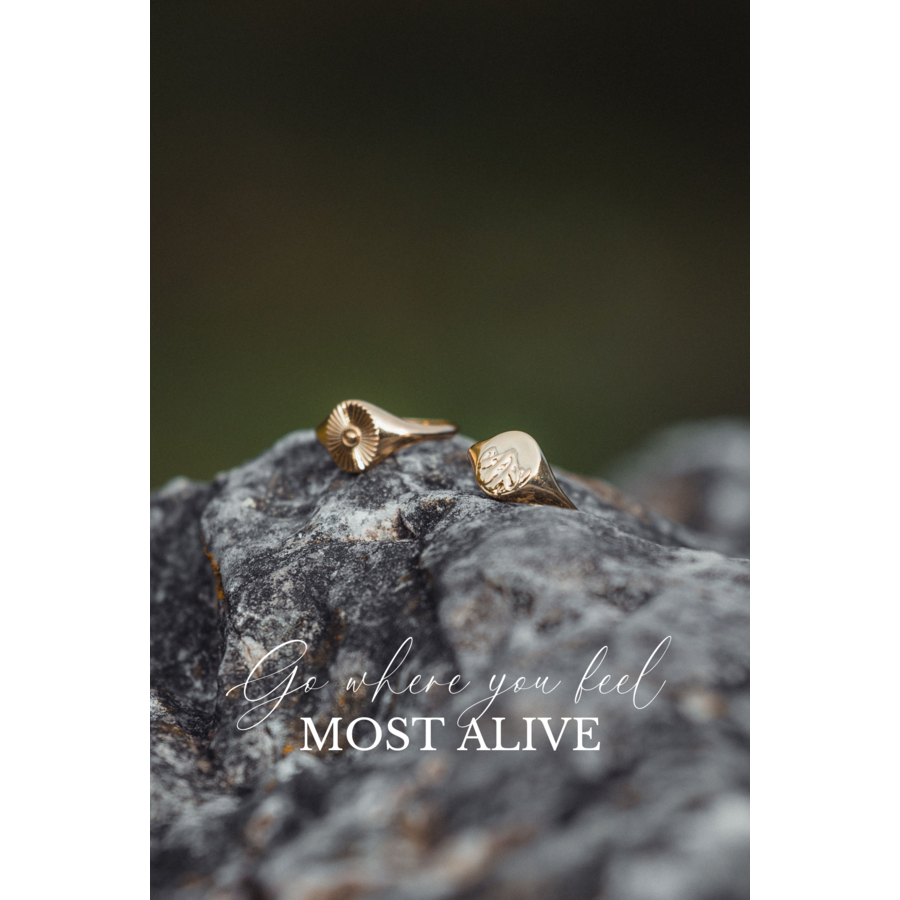 Fjäll Ring Gold Plated-3