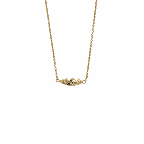 Mount Ketting Verguld 