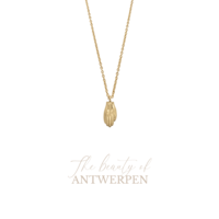thumb-Antwerpse Handjes Necklace-1