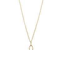 thumb-Wishbone Necklace Gold Plated-2