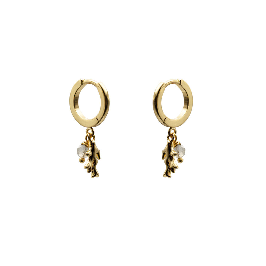 Coral Hoops Verguld (labradorite)-4