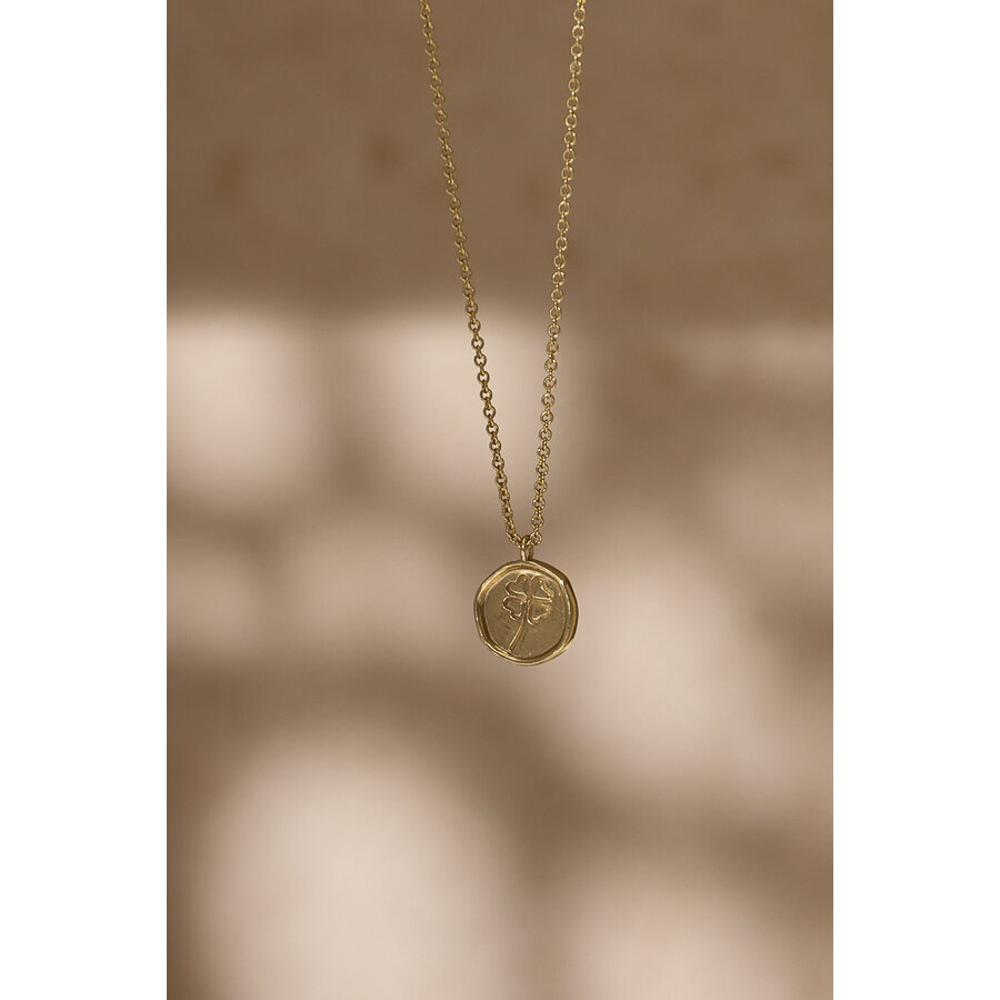 Lucky Necklace Gold Plated-2
