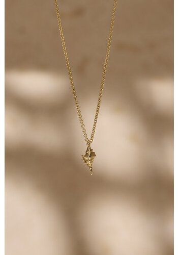 Shell Ketting Verguld 