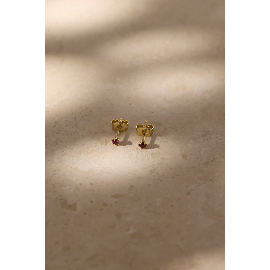 Garnet Studs Verguld-5