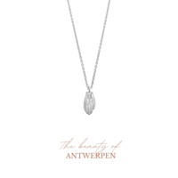 Antwerpse Handjes Necklace Silver