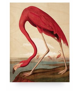 Prints Auf Holz Kek Amsterdam