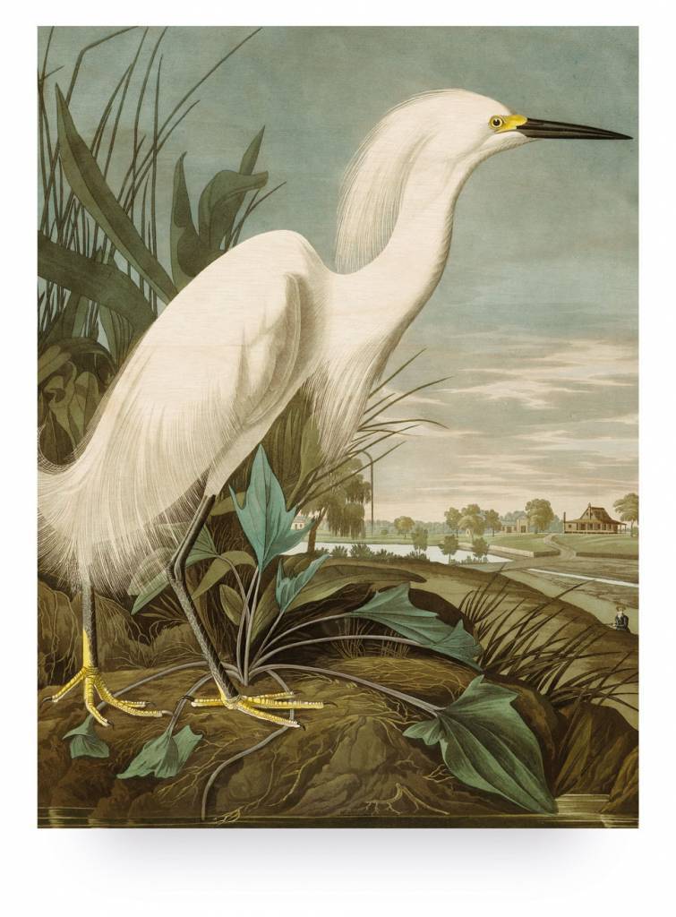 Prints auf Holz, Snowy Heron, L, 75 x 100 cm - KEK Amsterdam