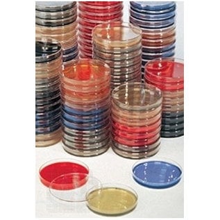 Salmonelle Shigella Agar