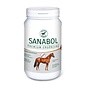 Atcom Atcom Sanabol 3kg