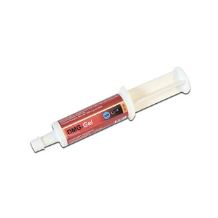 HorseMaster DMG GEL seringue oral syringe -oral